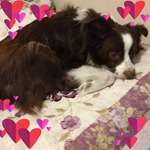 Meet your Posher, Cynde